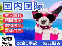 桂林机场托运国际宠物托运 【国